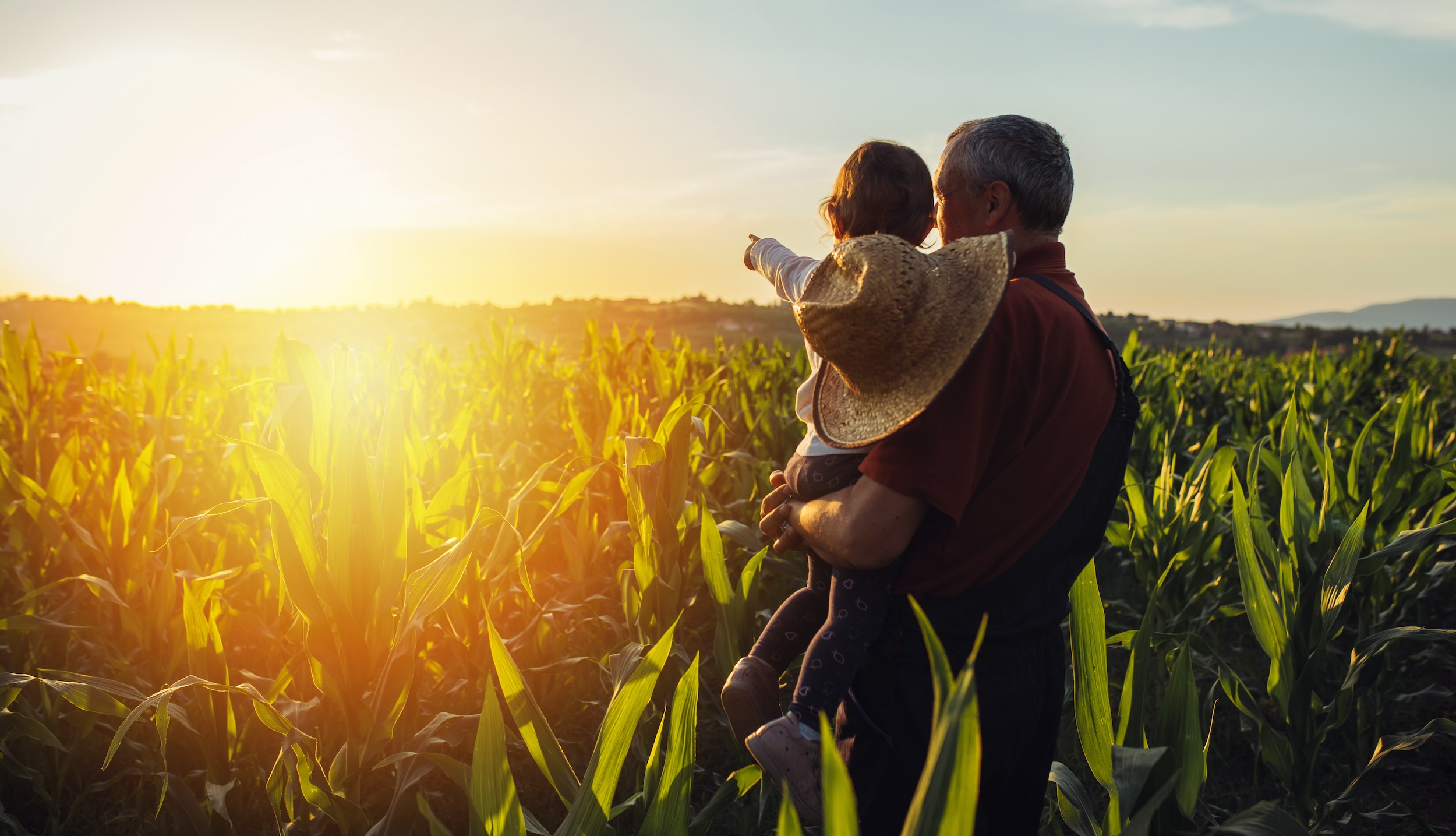 grandfather holding his grandchild as they look out onto a field of crops at sunset