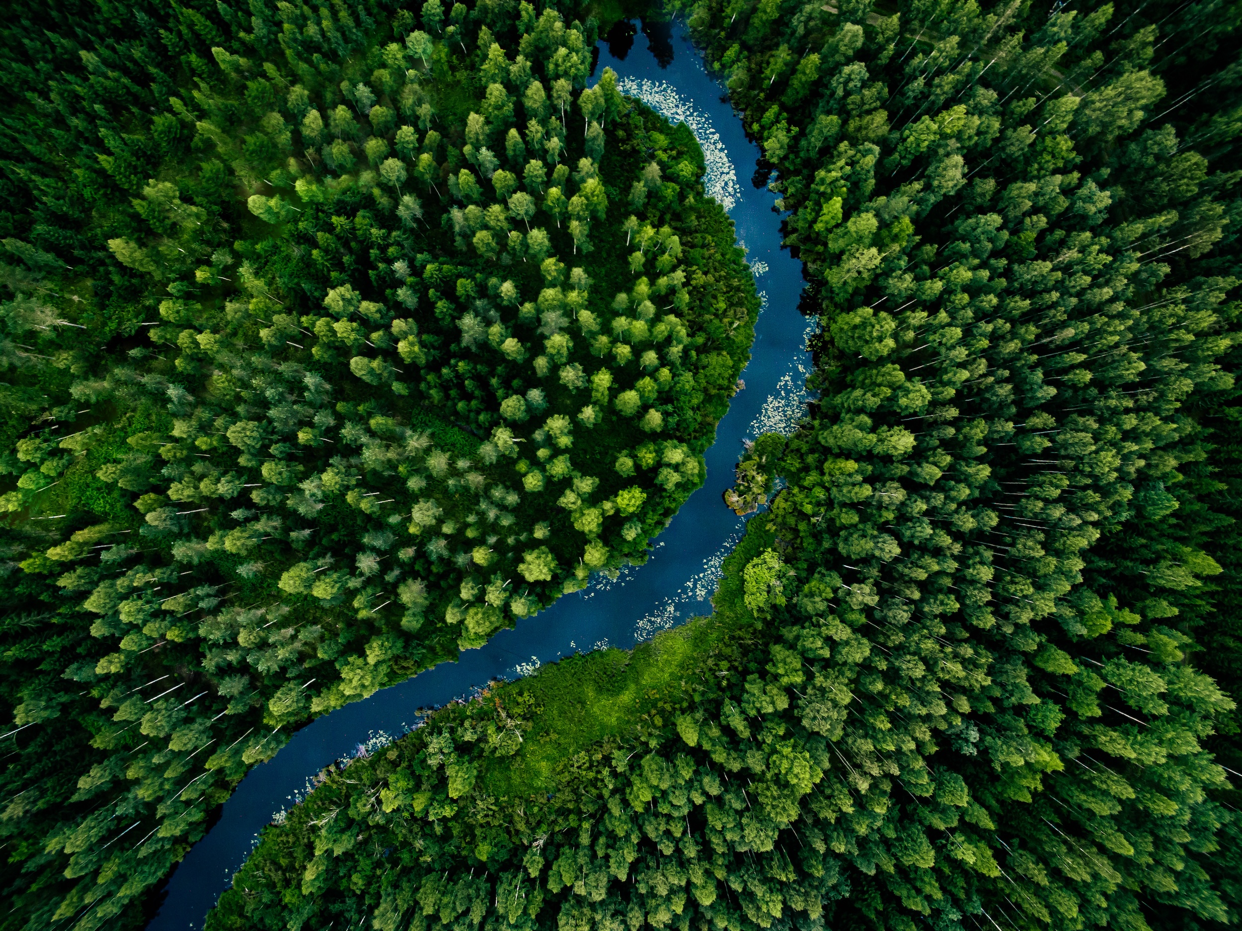 aerial view of trees lining a river on a parcel of raw land financed through a land loan