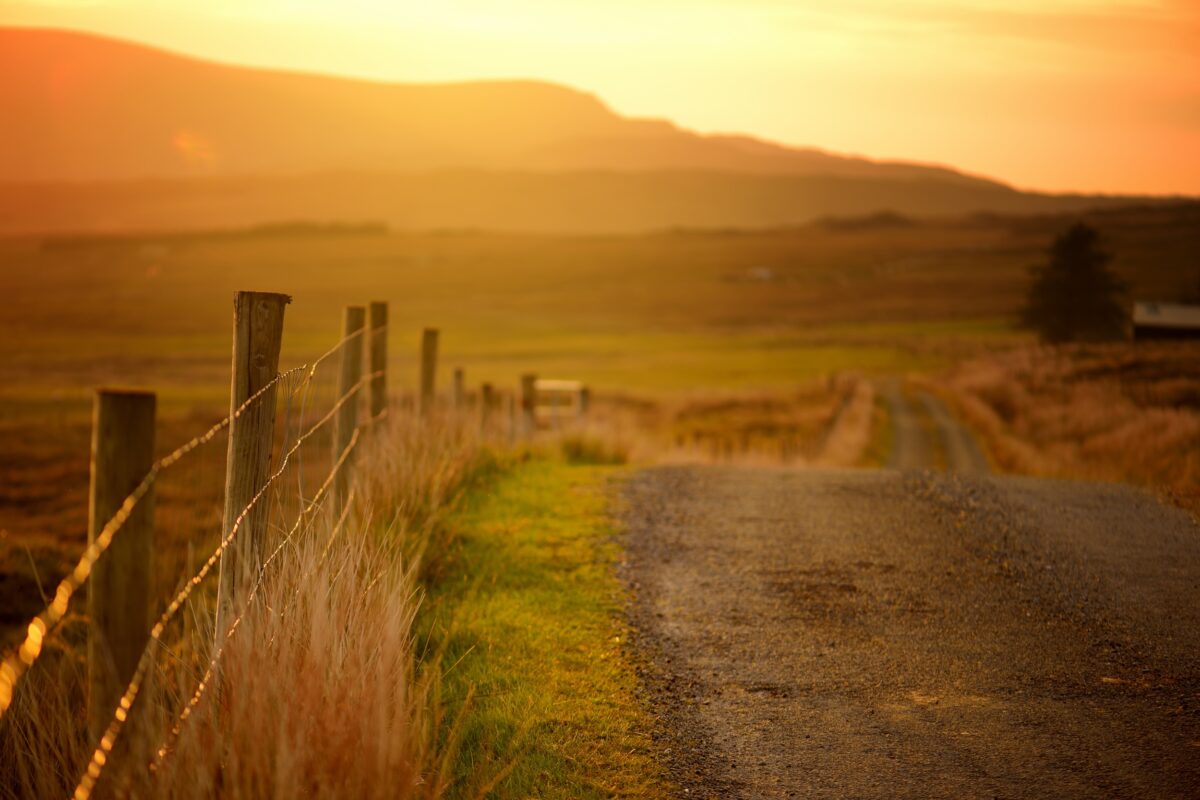 road running alongside a barbed wire fence on a rural unimproved piece of land