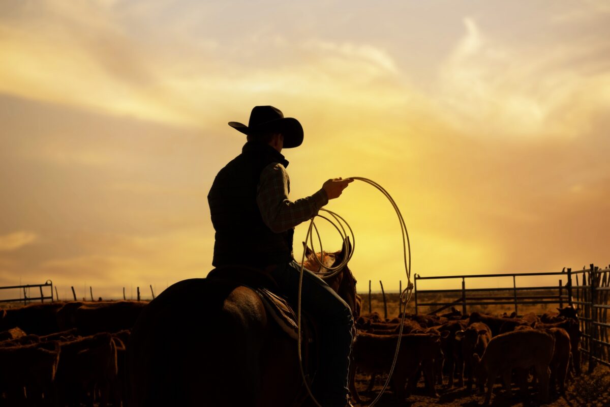 cattle herder riding a horse and wearing a cowboy hat working living on a ranch during golden hour