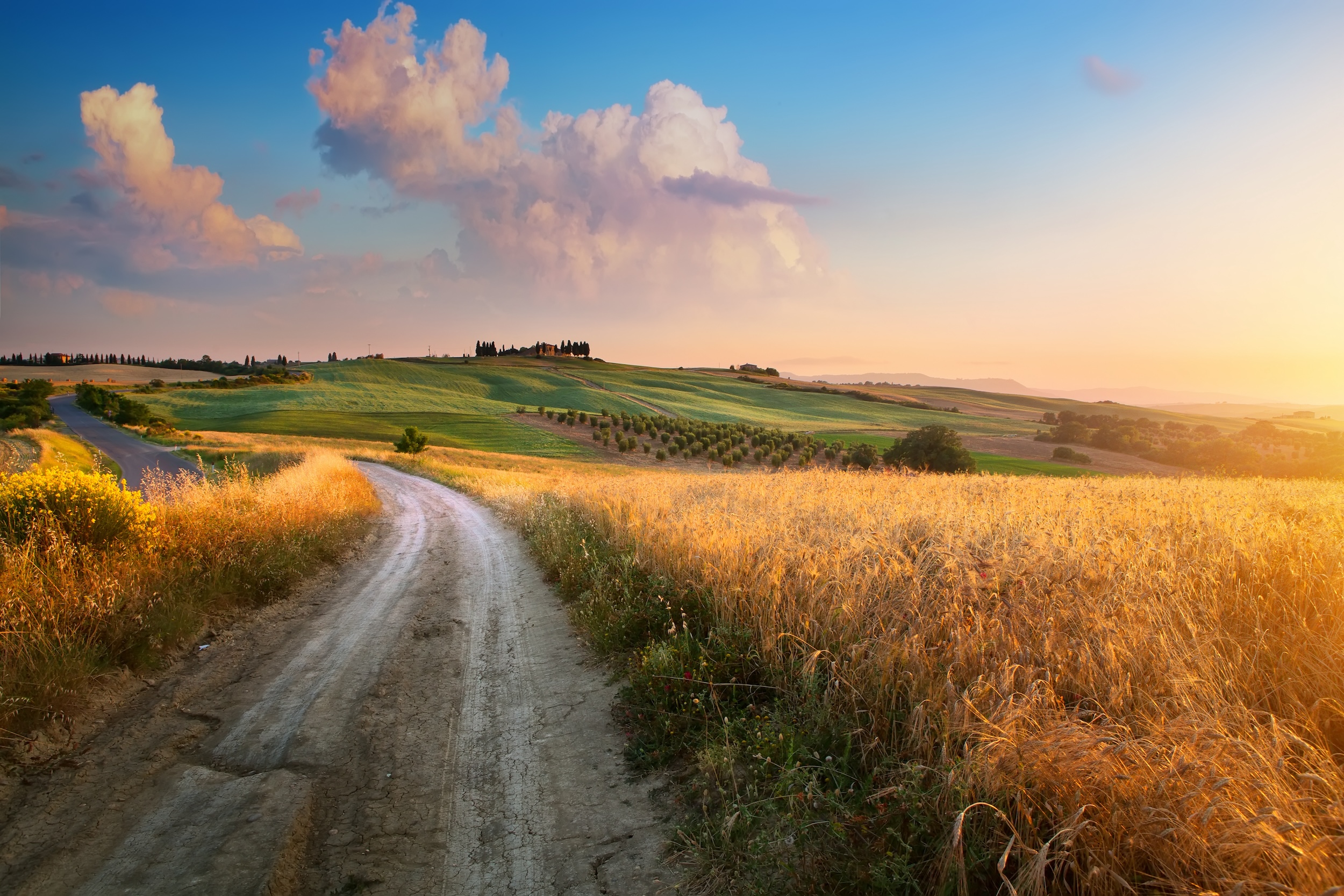 dirt road on a rural property held by a family land trust