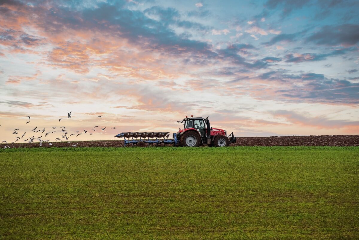 a tractor driving across a wide open expanse of land on a farm while a flock of birds flies by behind it