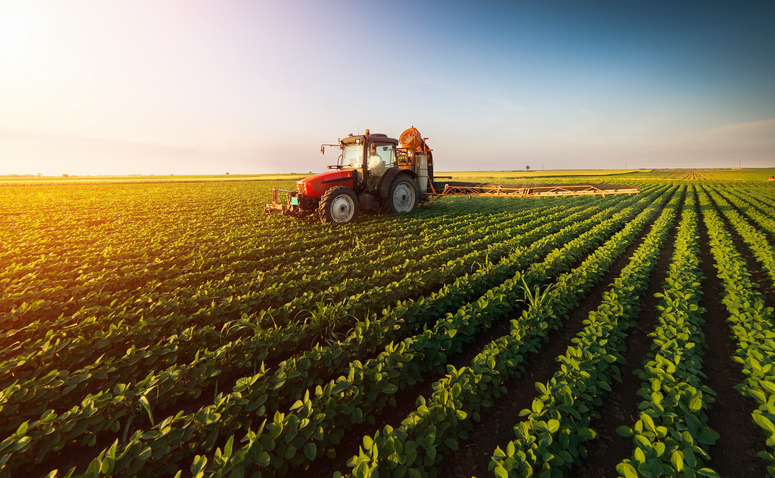 a mid tier cost tractor driving through a row crops on a farm