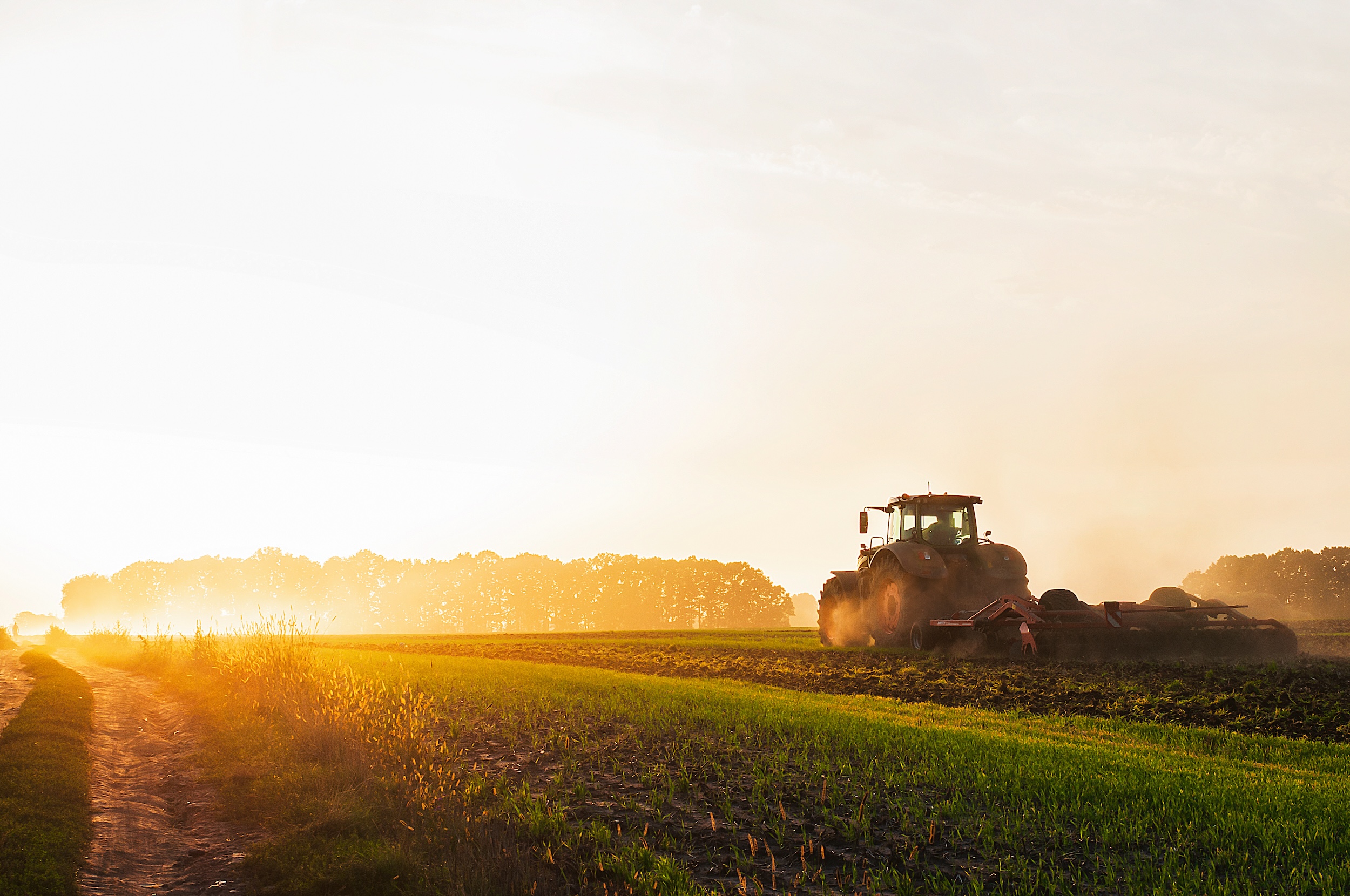 a mid tier cost tractor driving through a farm field for row crops
