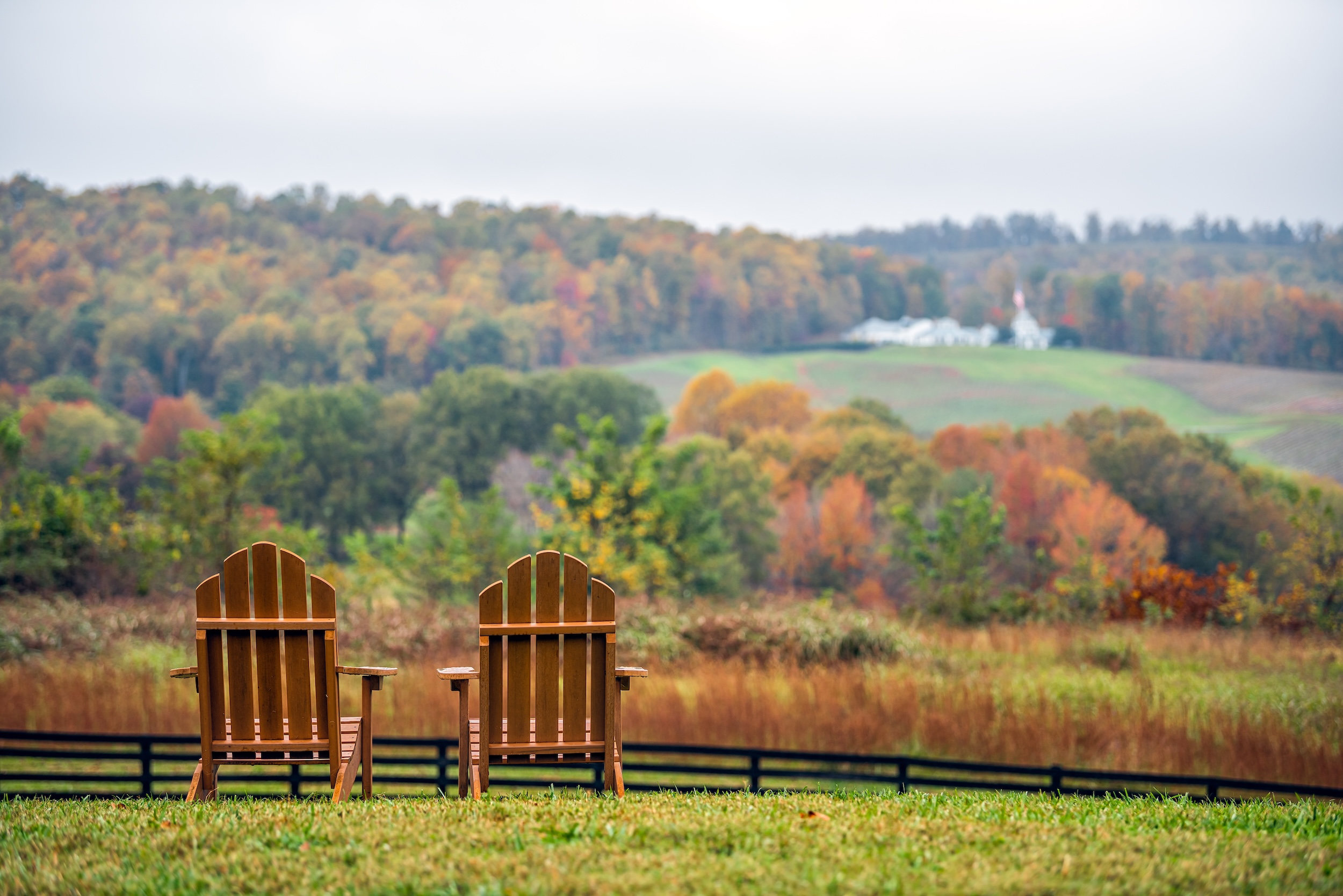 two chairs looking out onto a rural forest land investment being used for a vacation rental enterprise