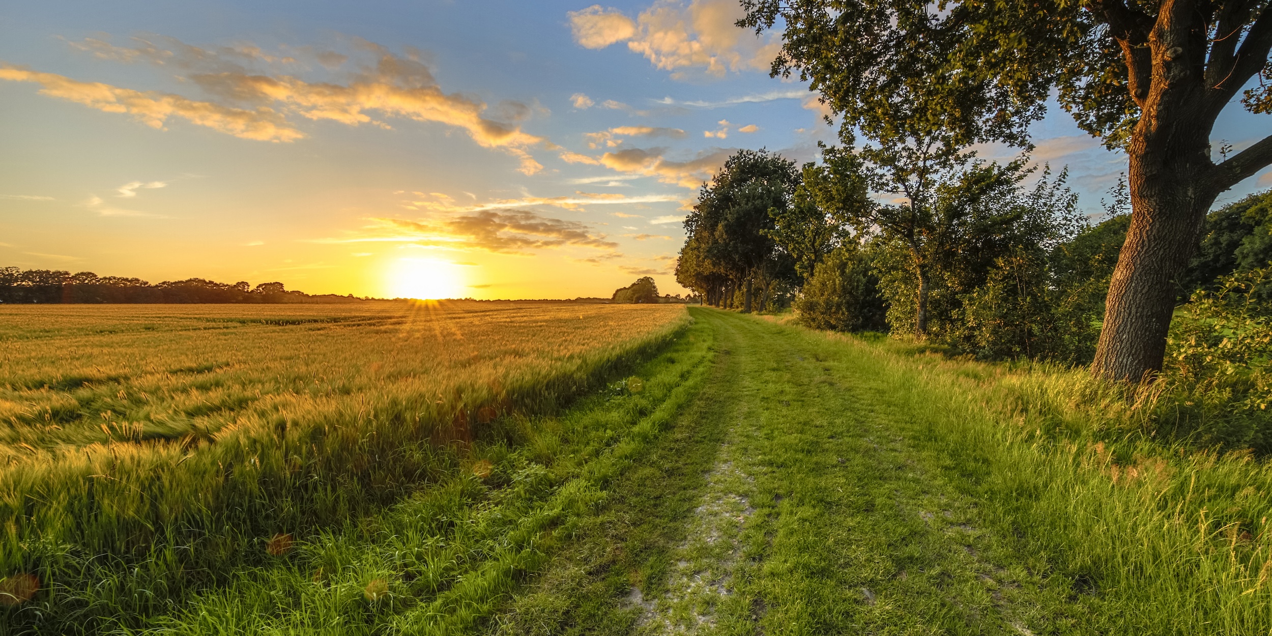 rural property lined with trees and an open field held in a family land trust