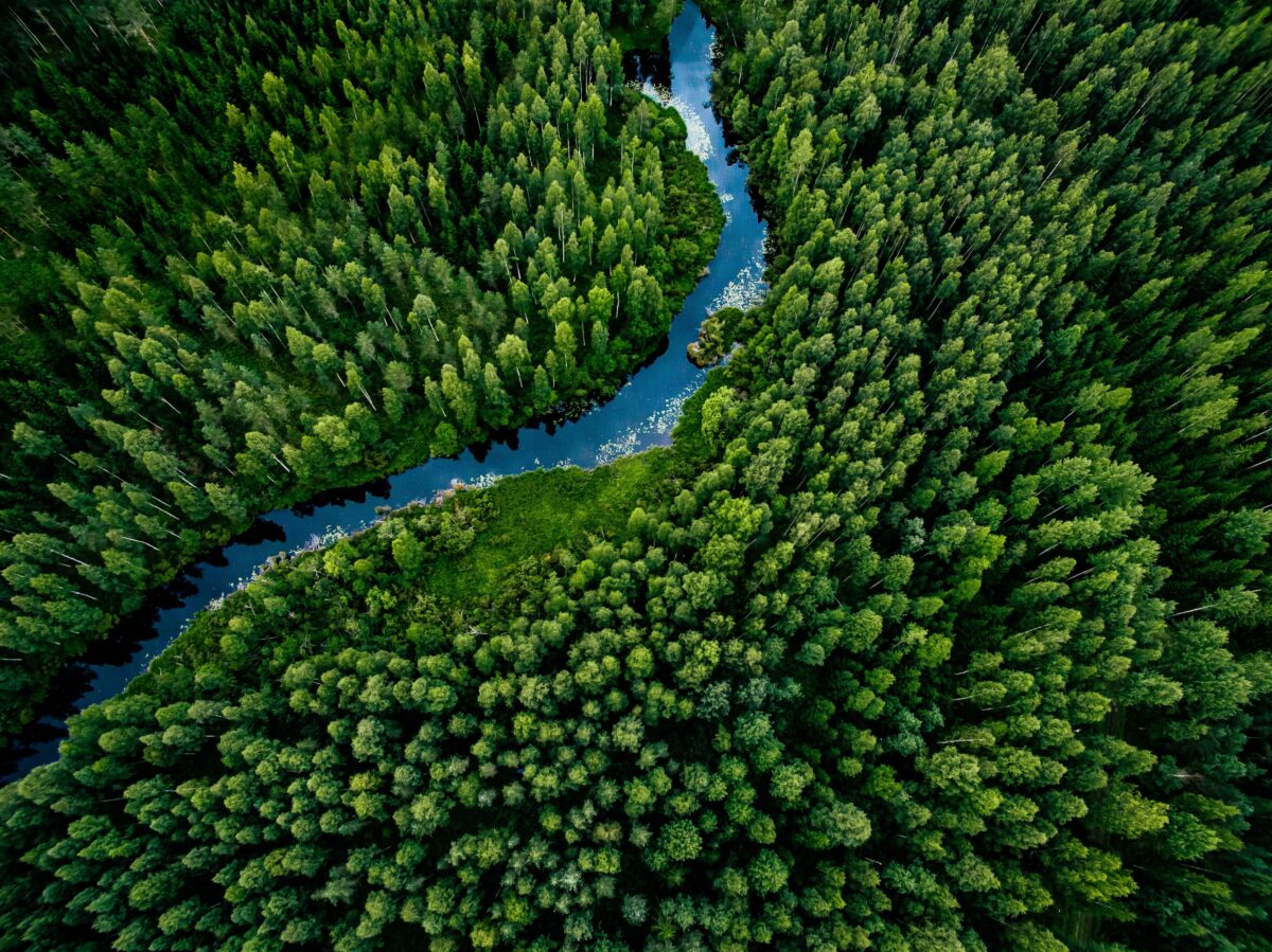river cutting through a parcel of a rural forest land investment