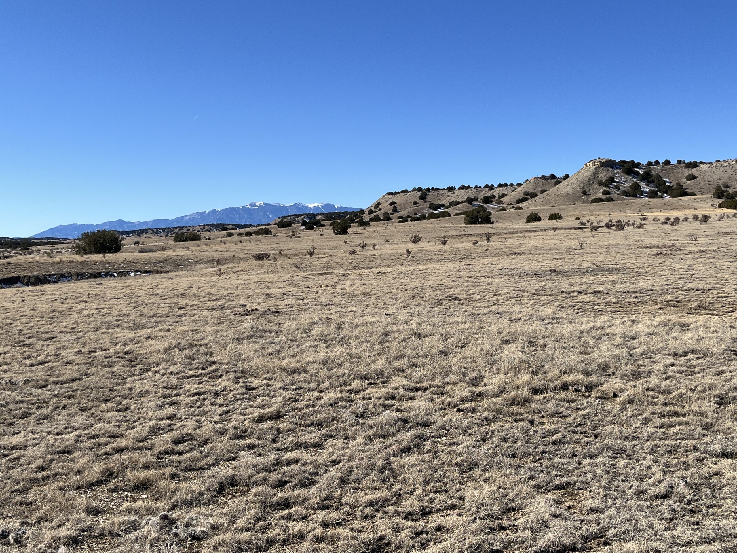 Hatchet Ranch Horse Creek | Hayden Outdoors