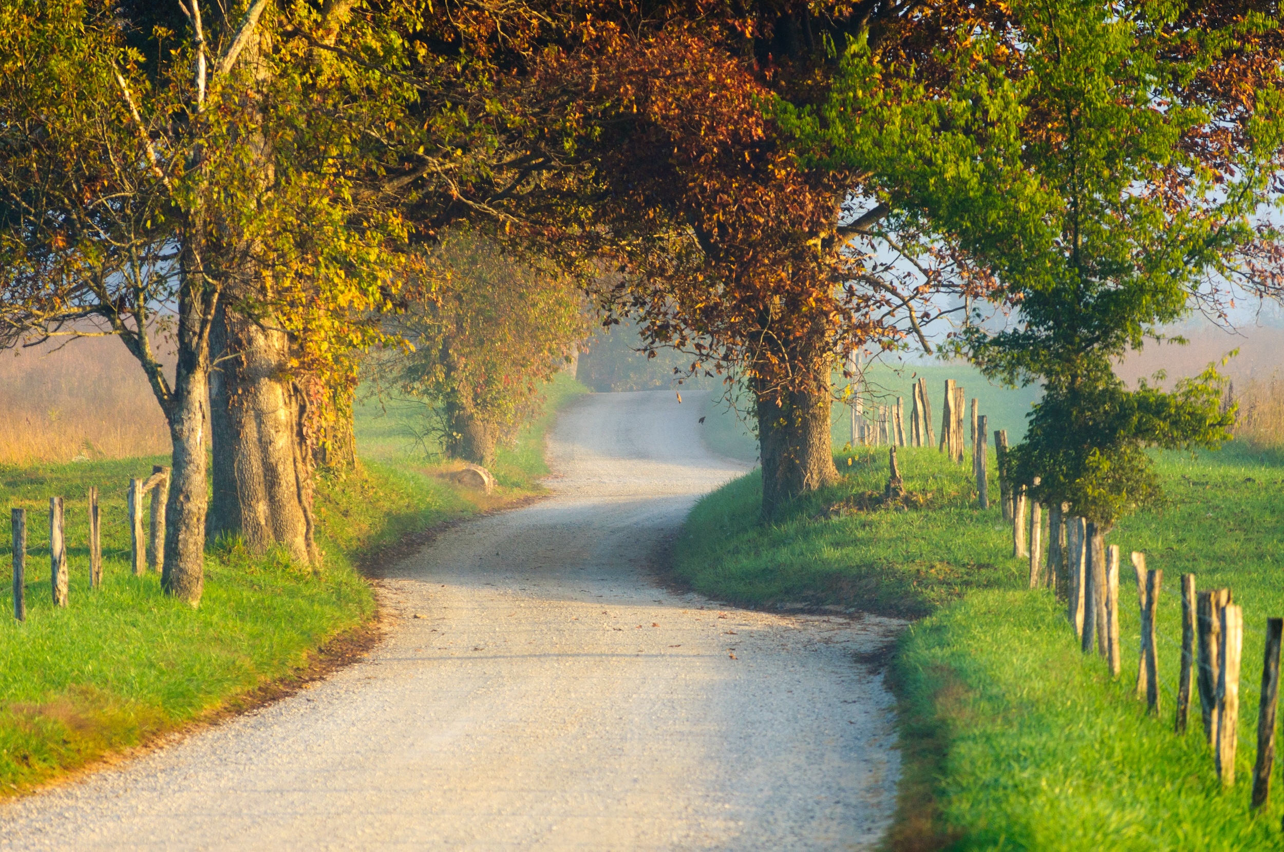 dirt road cutting through the Tennessee rural land of one of the best states to buy land for homesteading