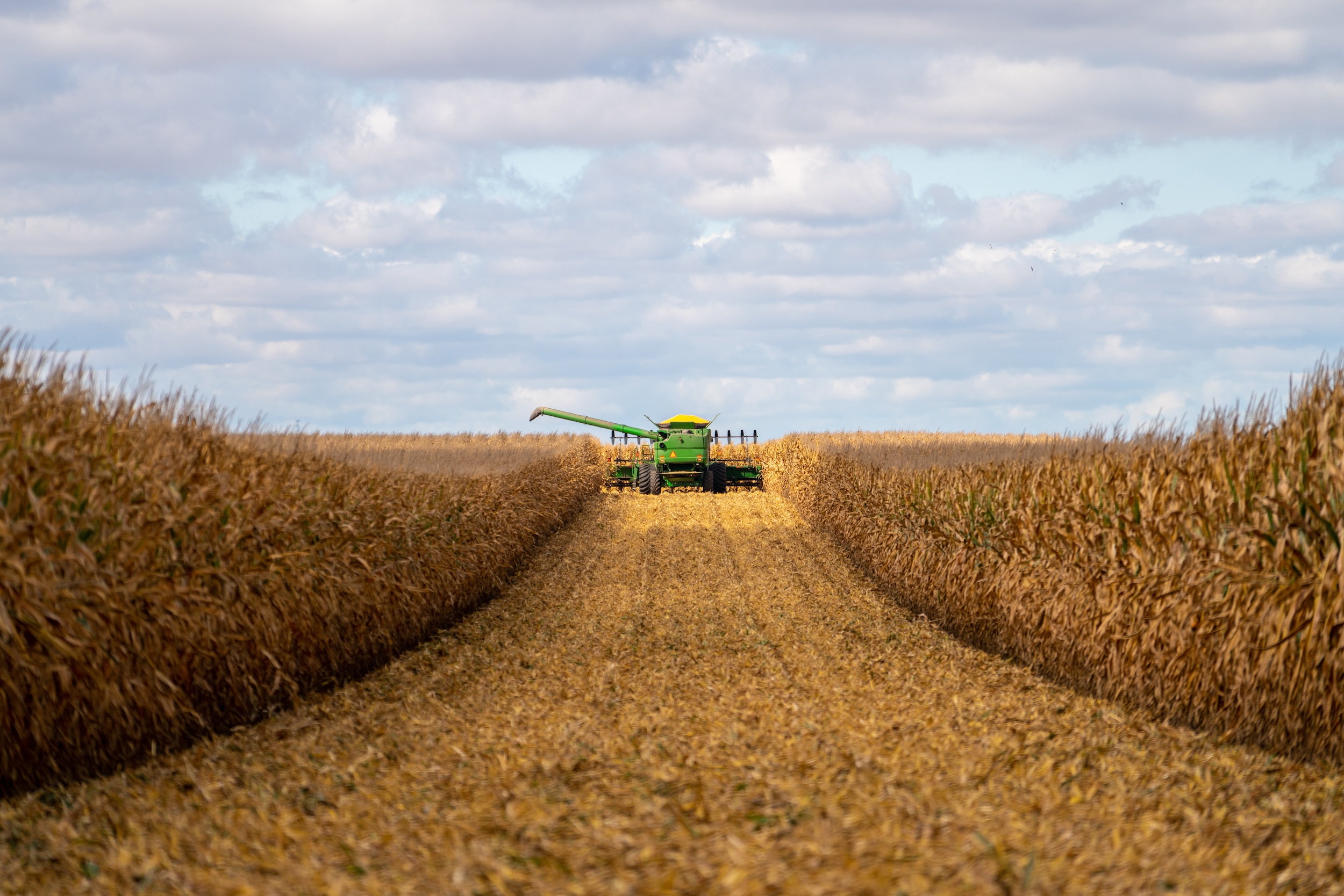 combine harvester driving down a row of corn crops when it was ready to harvest