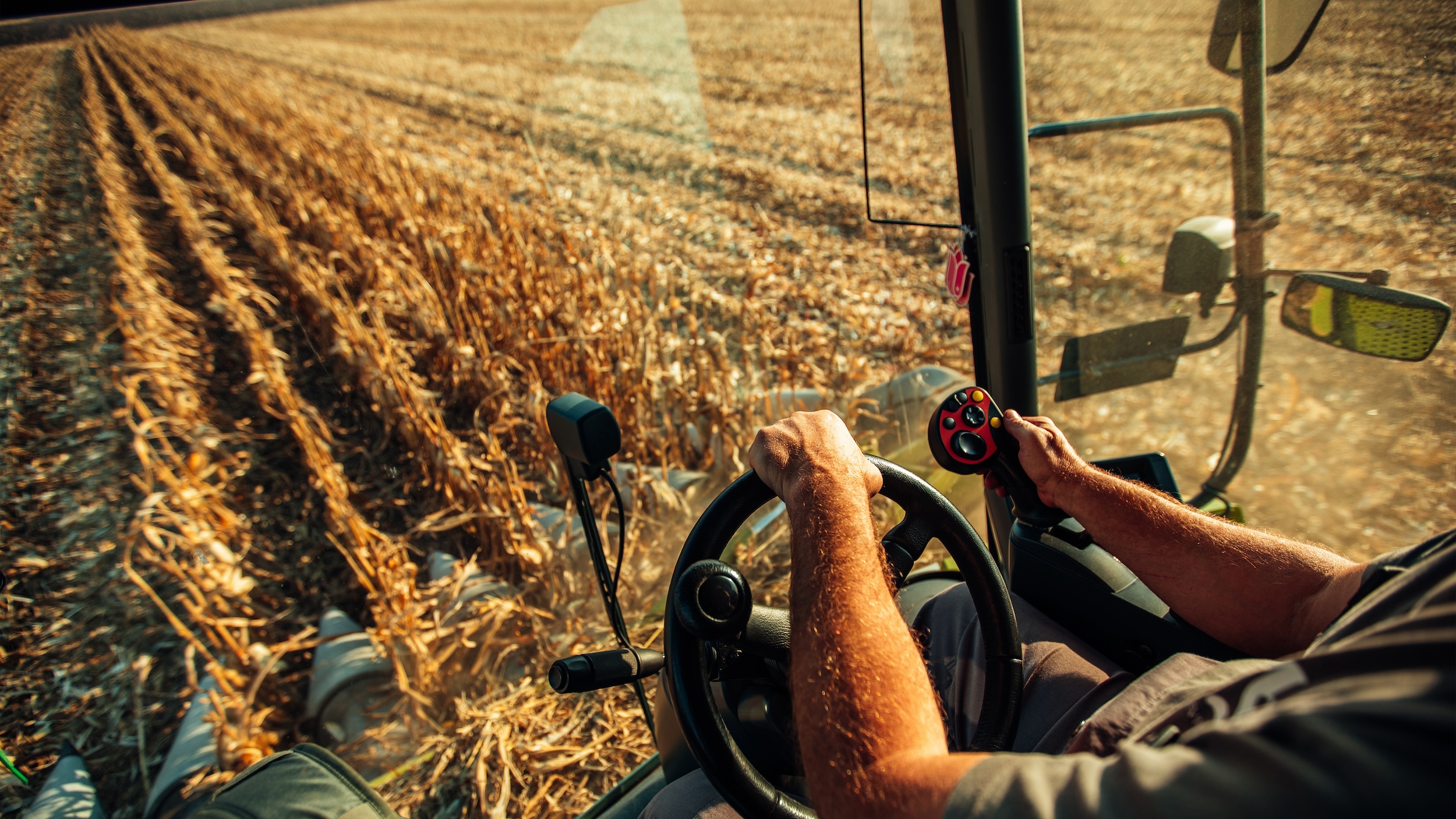 farmer driving through rows of corn when they were ready to be harvested