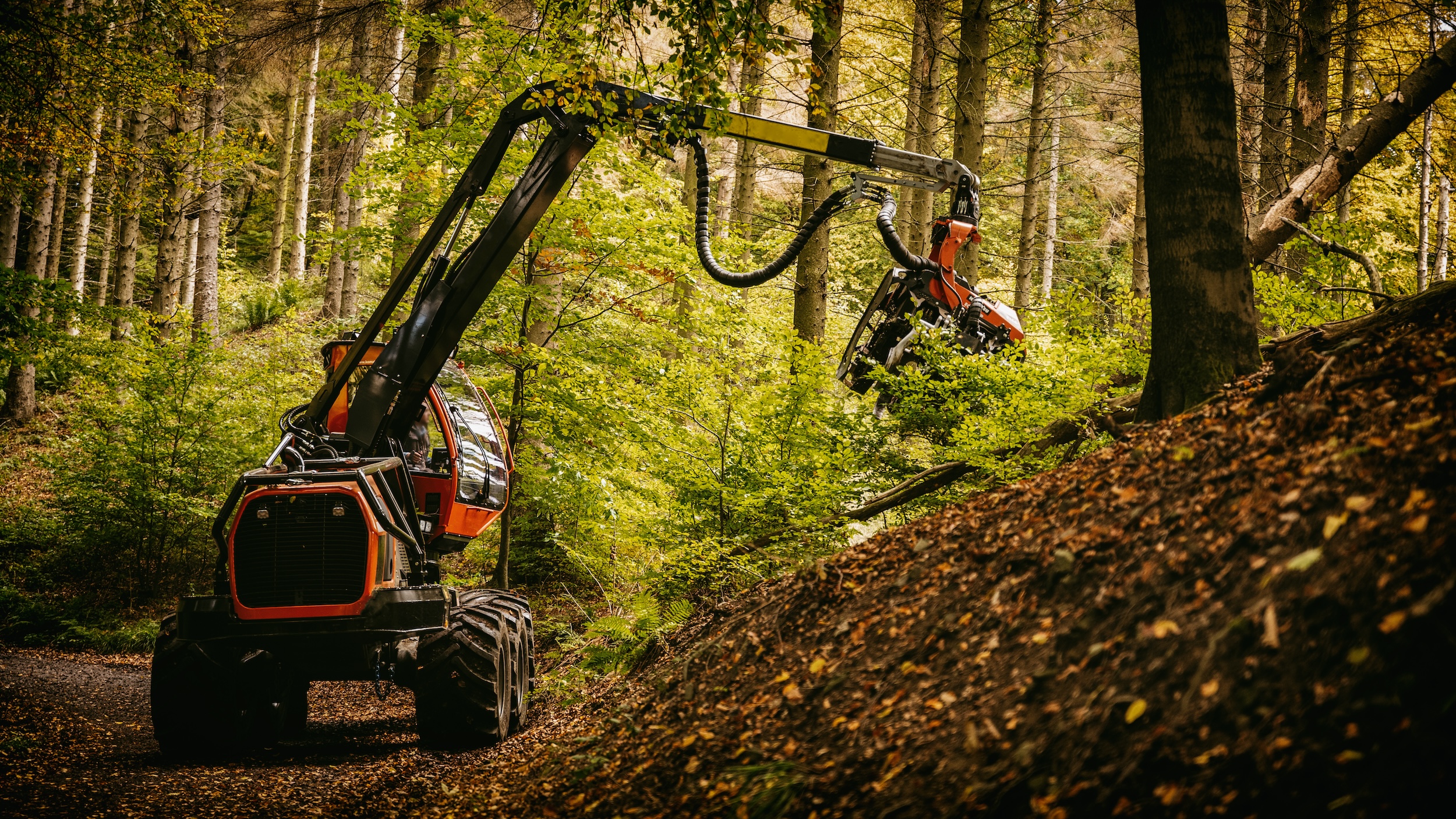excavator driving through a forest and clearing ground