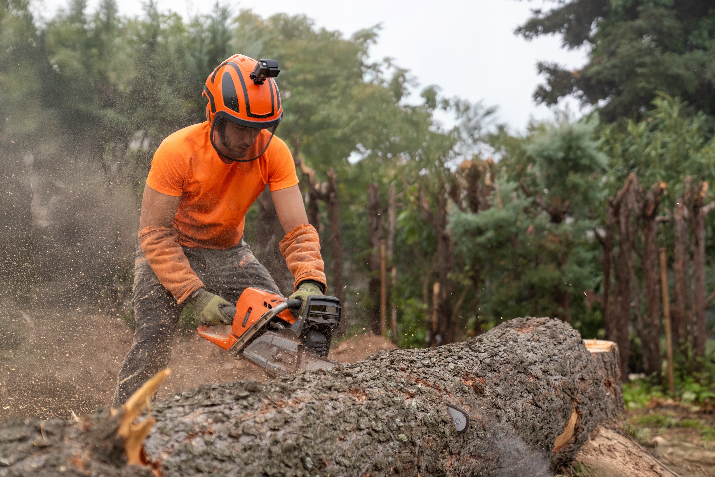 man showing how to clear land using a chainsaw to cut a tree