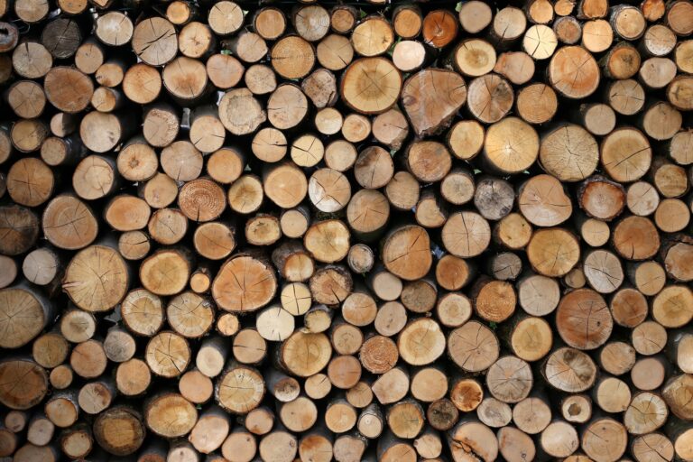 Timber Value Per Acre: How Much Money Can You Get For Your Timber?
