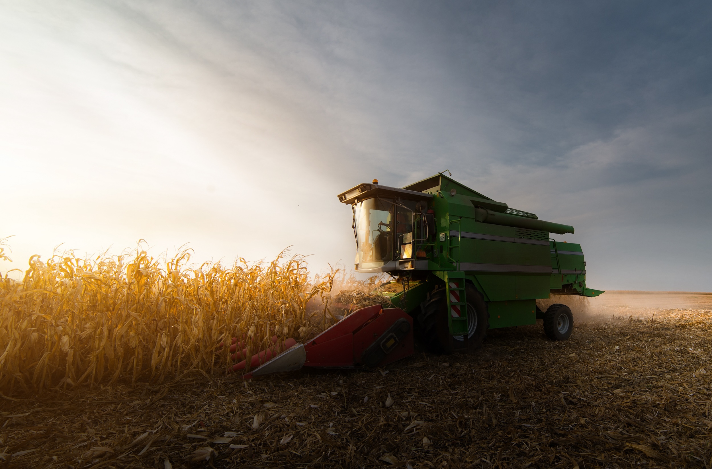 small, lower cost combine harvester with light from the morning sun shining off the windshield