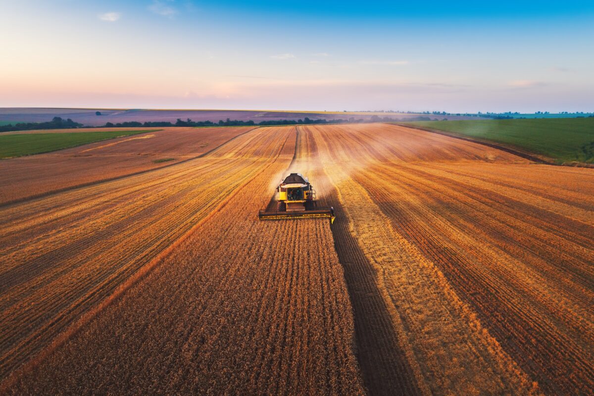 aerial view of a high cost combine harvester driving through a field of wheat at dawn