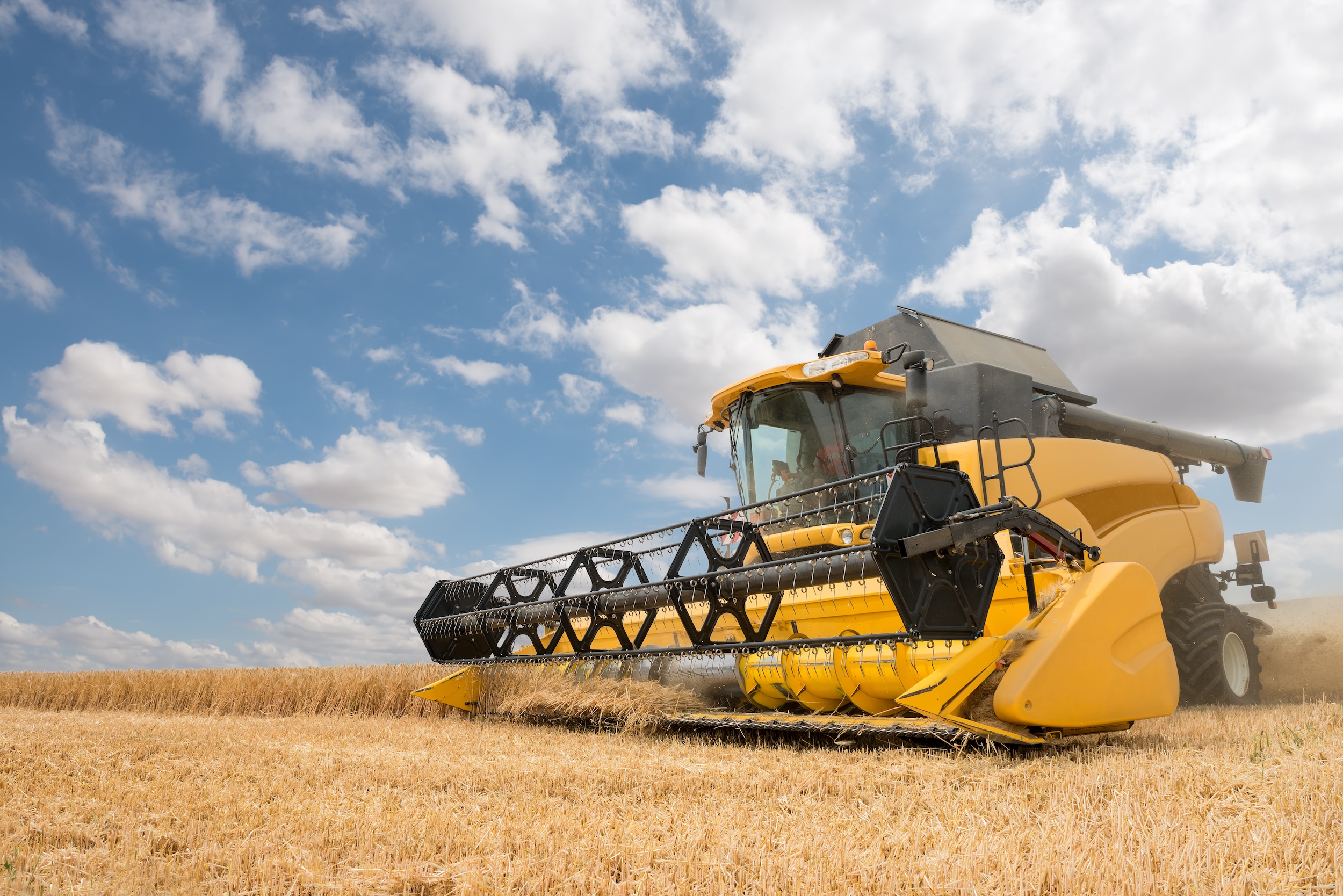 large high cost yellow combine harvester driving through and harvesting a field of wheat