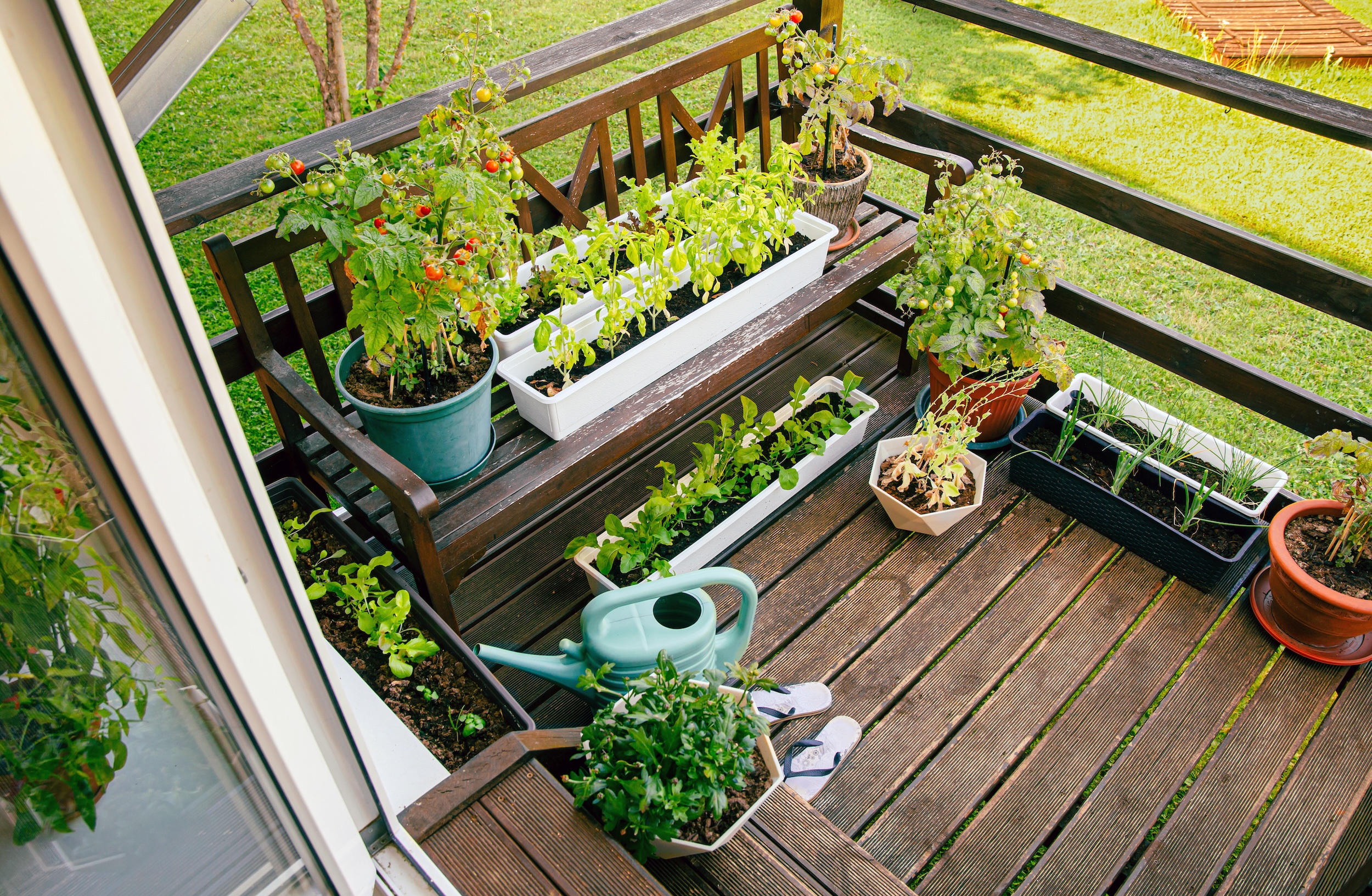 small patio garden containing some of the best gardening supplies and tools including a watering can, plant trays, and pots 