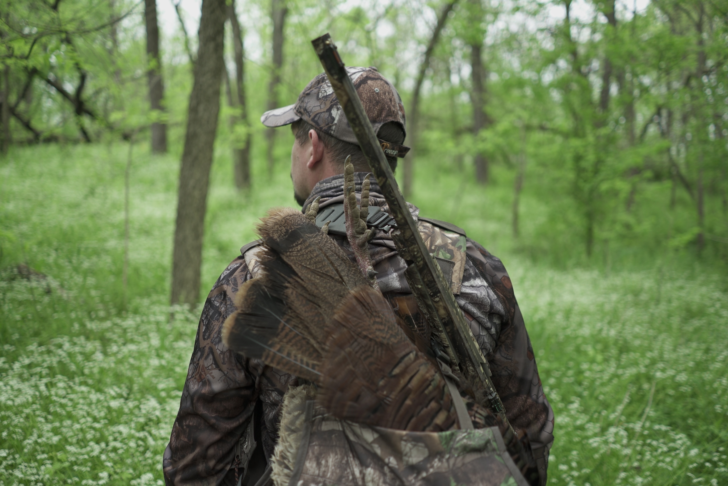 hunter walking through the woods with his shotgun and a turkey in his hunting backpack