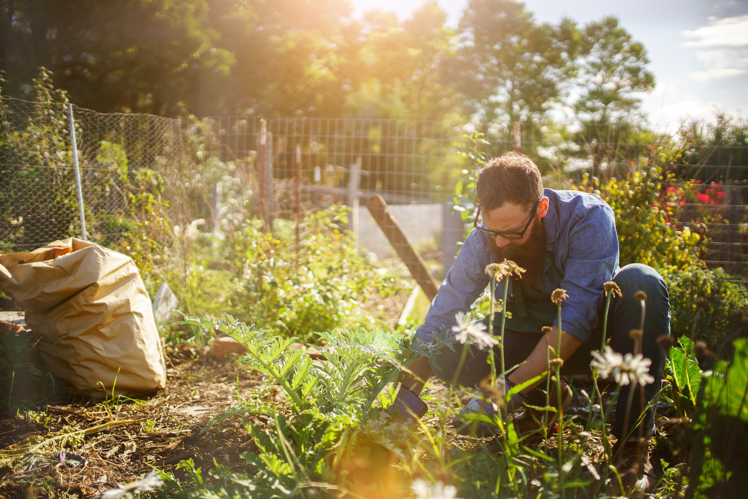 man using his beginner gardening tools including fitted gloves for planting in his flower garden