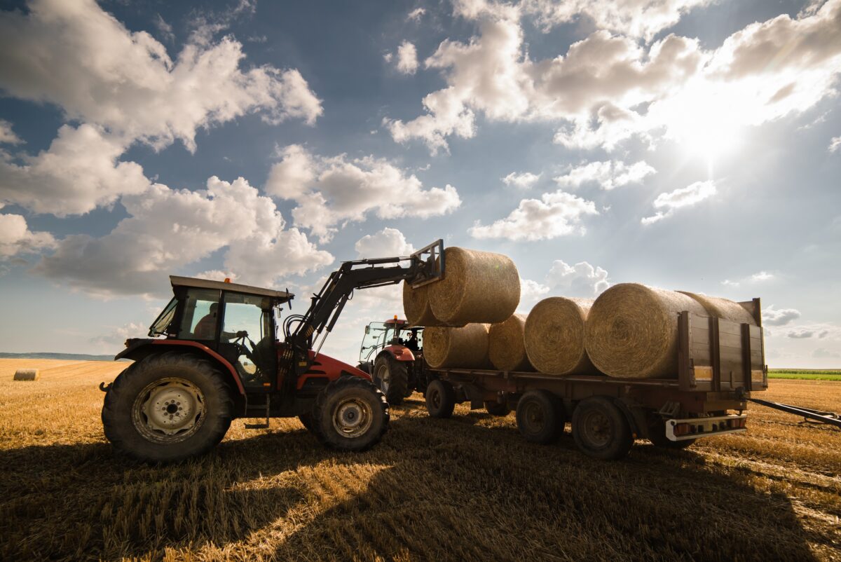 tractor loading hay bales onto the bed of another tractors full trailer