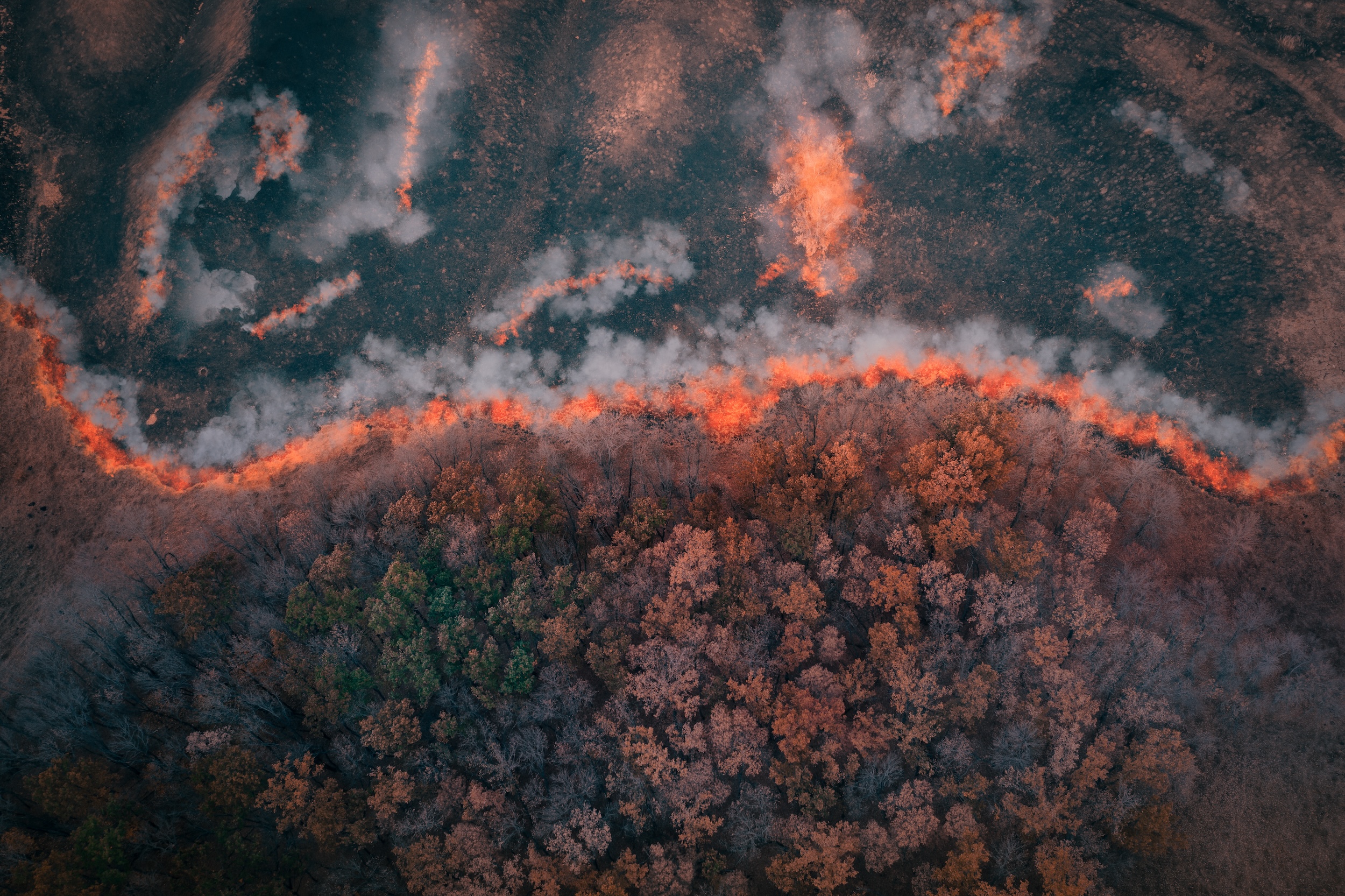 aerial view of a wildfire cutting through a dense forest