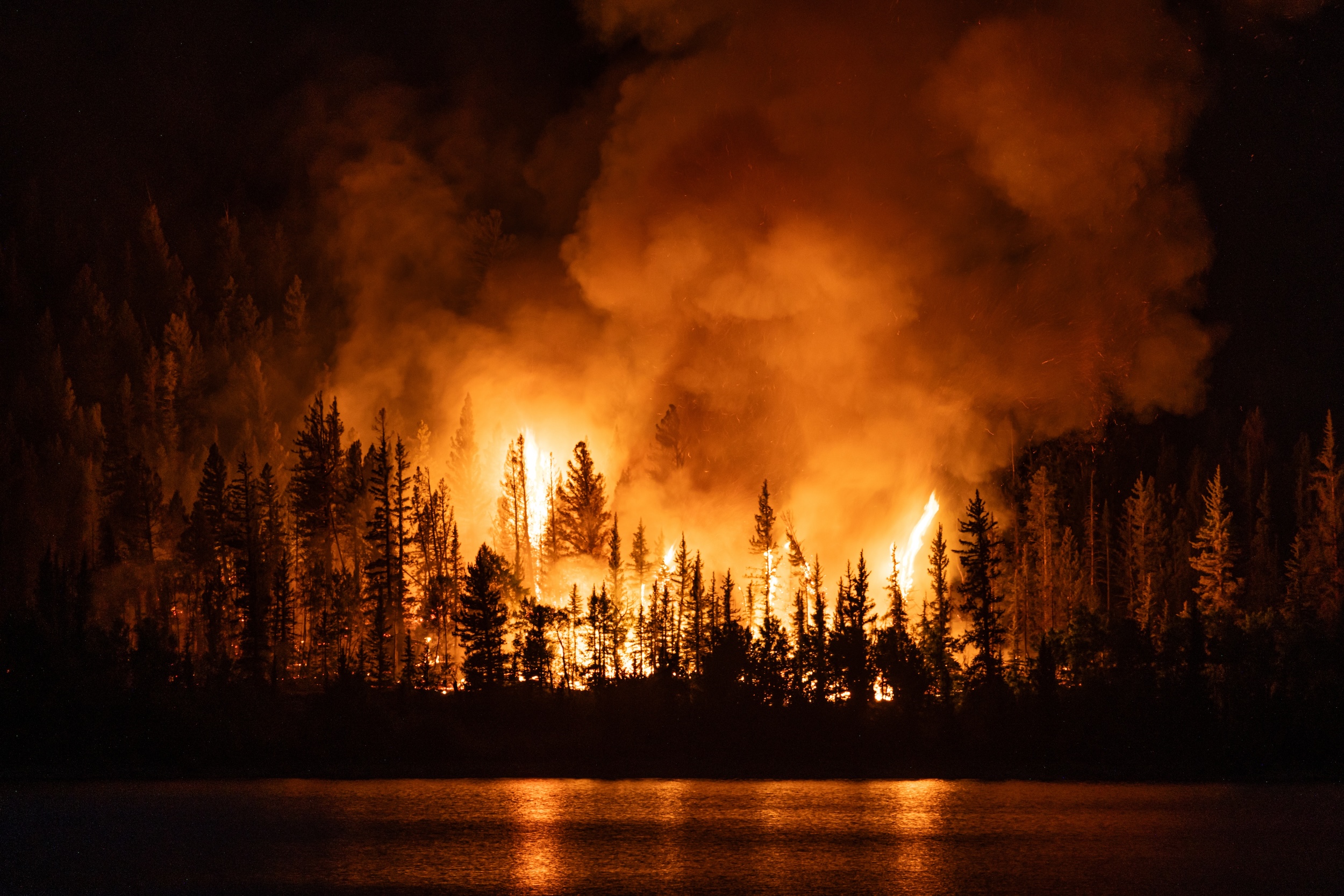 wildfire engulfing a forest next to a lake in flames