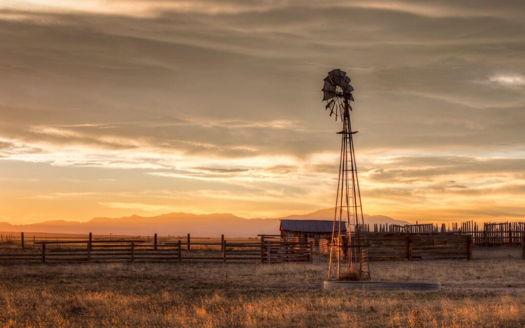 golden hour on a farm whose property lines are marked with a fence line