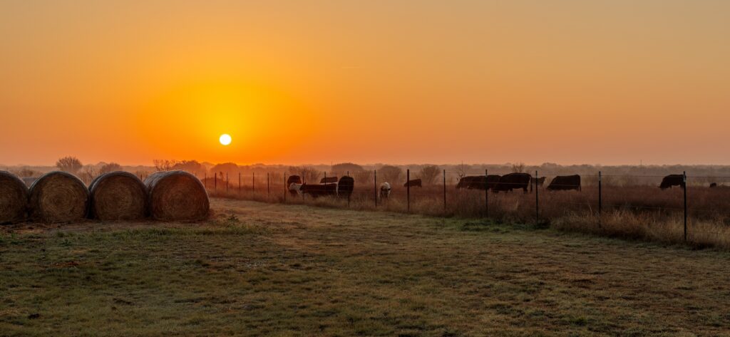 golden hour on a cattle ranch whose property lines are marked and checked with a fence line