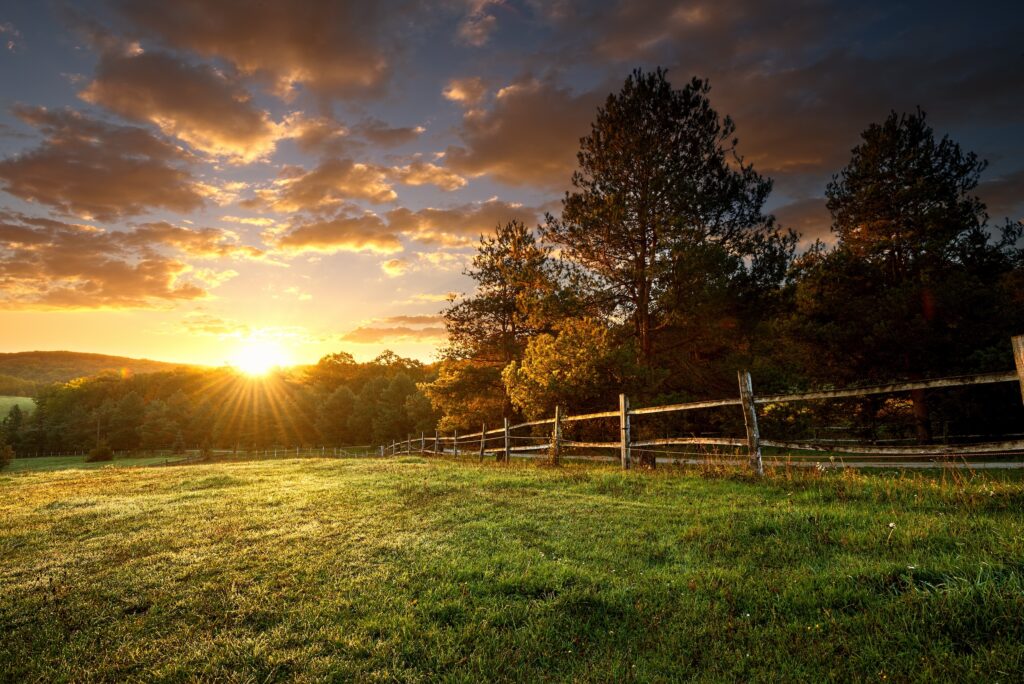 sun setting behind the trees along a grassy property where there is a line of wooden fencing separating the grass from the forest