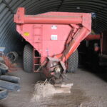 Image of Killbros Grain Cart (600 Bushel) - nascontentlivehaydenoutdoorswp-contentuploads202606IMG_0086-1782146510.jpg