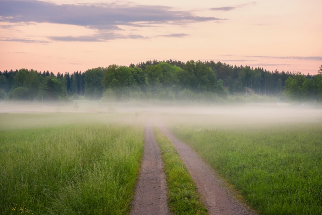dirt road meandering through a foggy landscape on a plot of land available for buying at auction