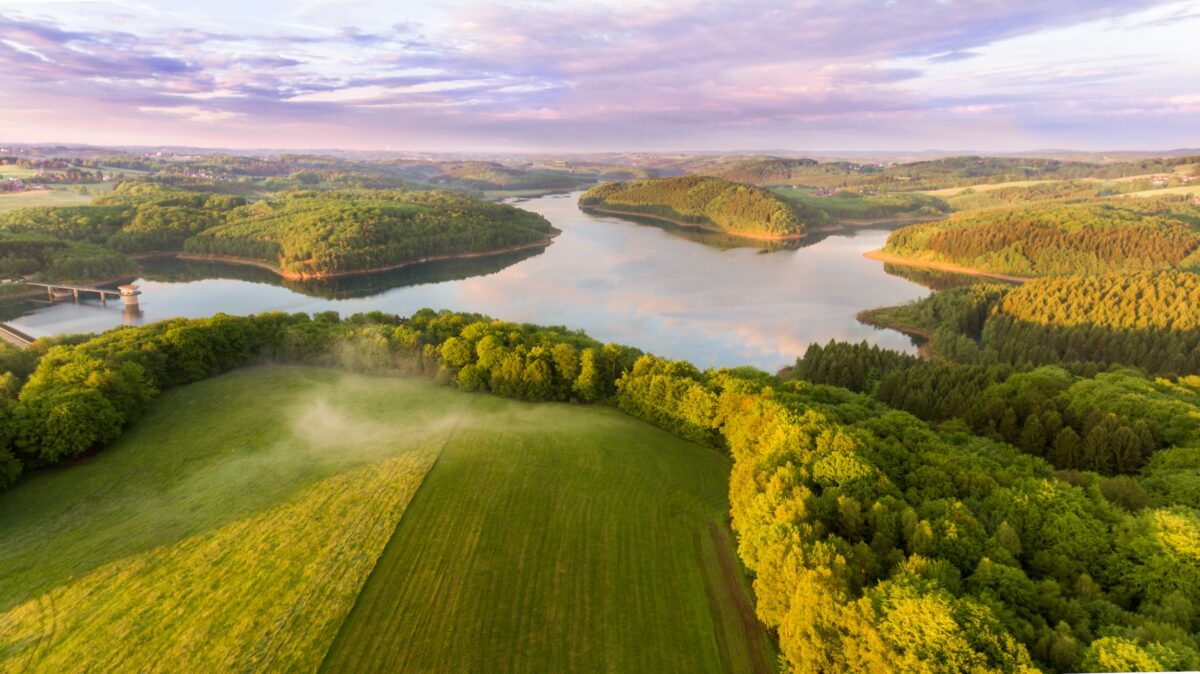 aerial view of a lake surrounded by fields and trees on land that was available for buying at auction