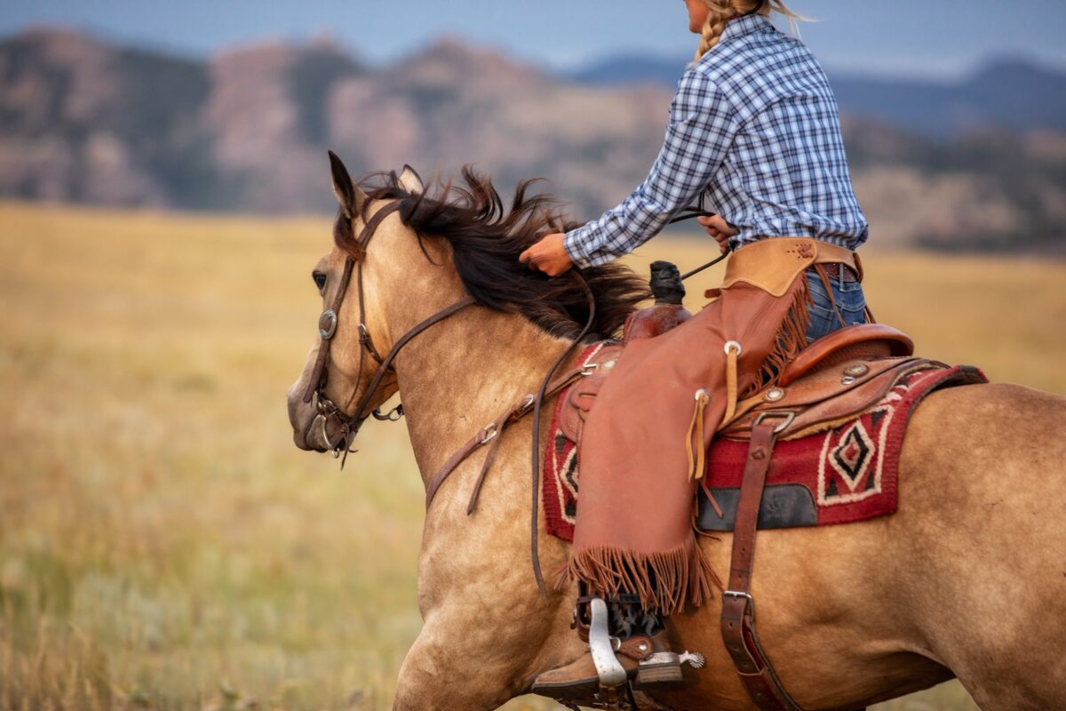 cowgirl sitting on a saddle and riding a horse while wearing horseback riding equipment including leather chaps