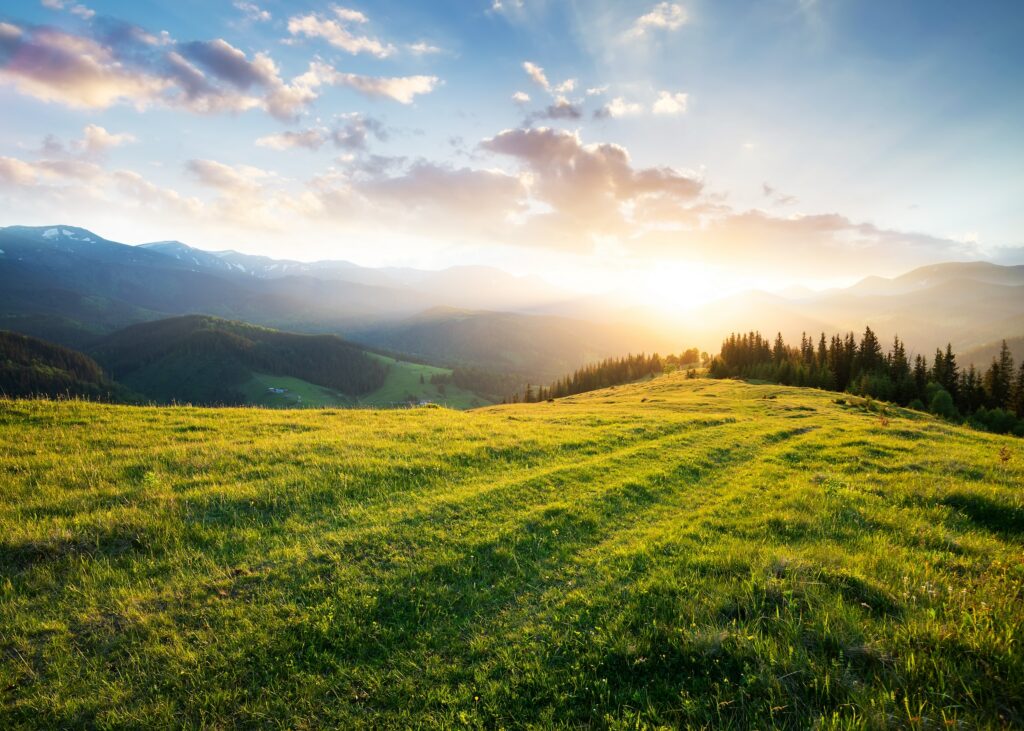 mountain land during golden hour with a grassy hillside in the foreground
