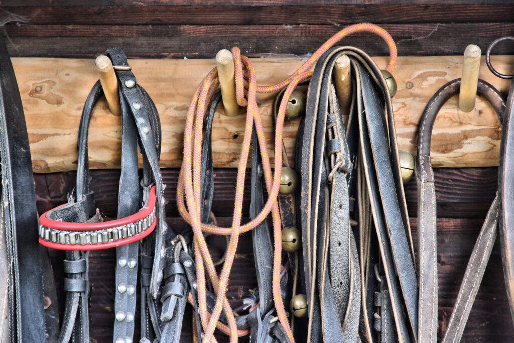 leather horseback riding rein equipment hanging on a wall in a stable