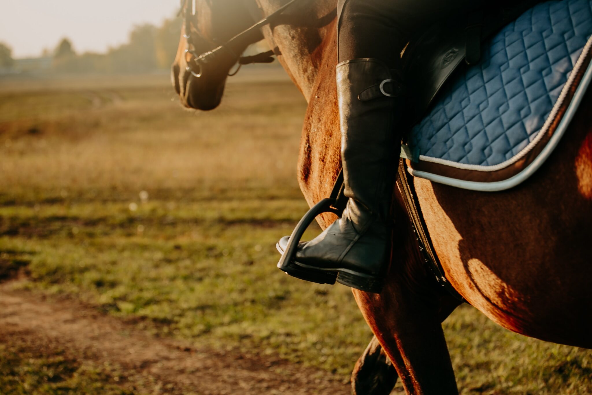 Huose Riding Gear The Complete List Of Essential Horse Riding Equipment And Gear