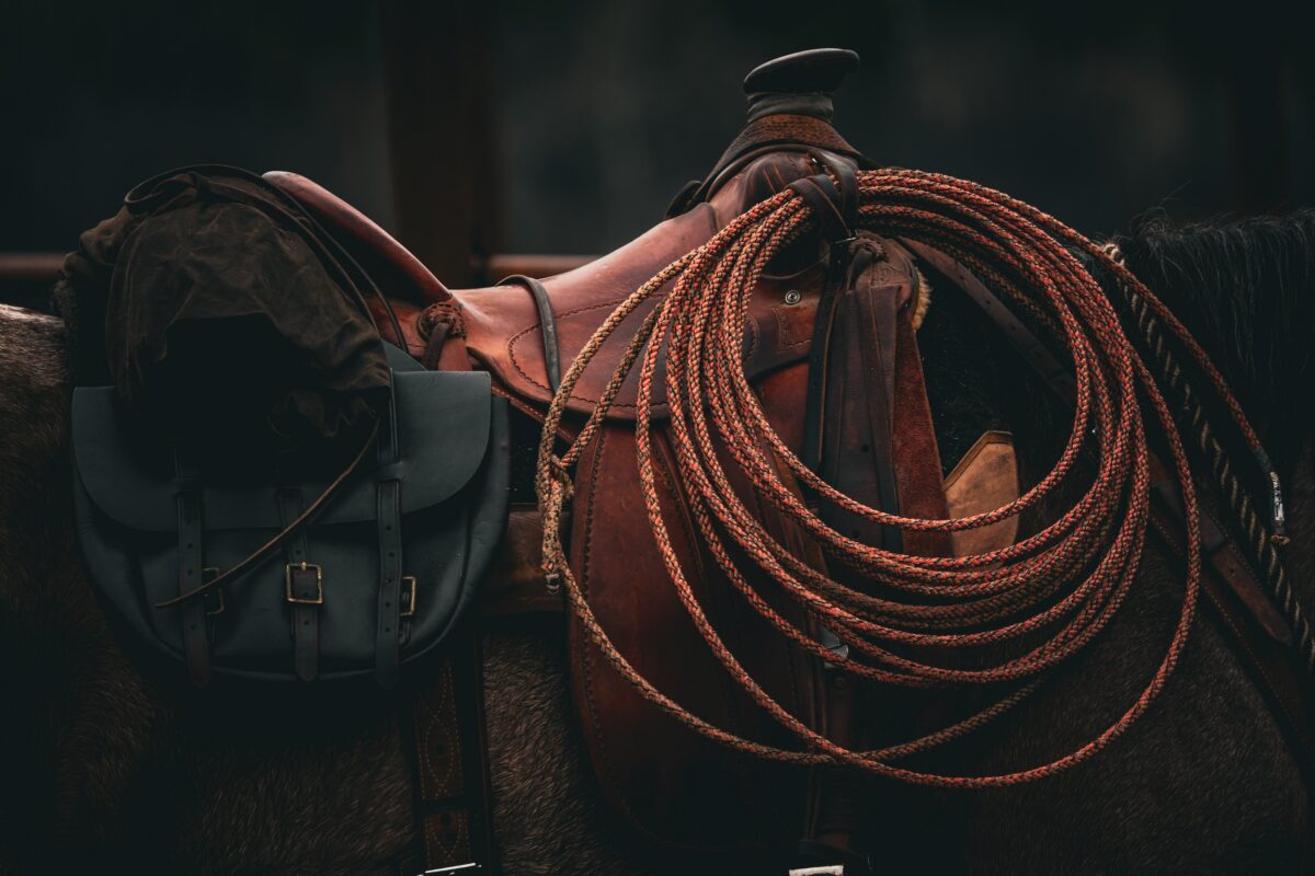 The Complete List Of Essential Horse Riding Equipment And Gear
