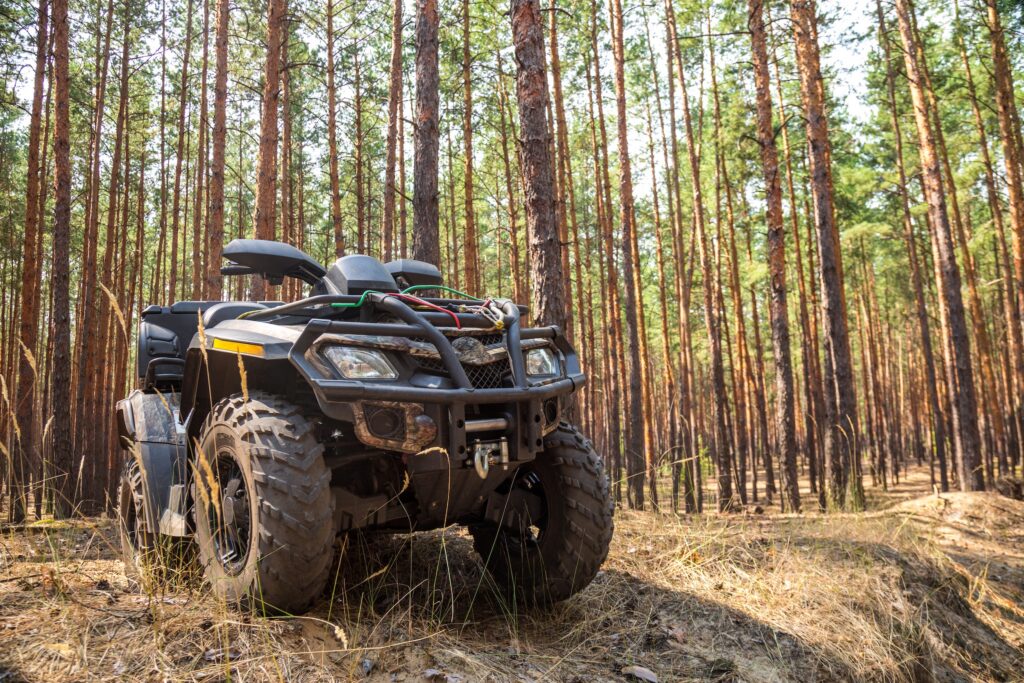 quad atv parked in a pine forest