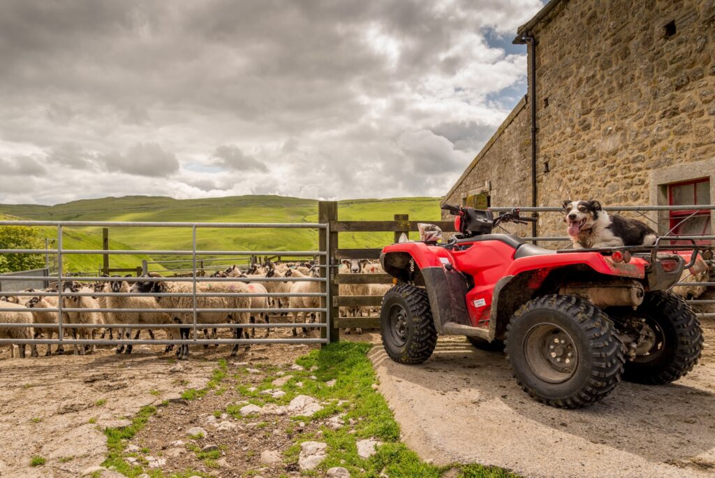 red atv parked in front of a fenced off area of a farm holding sheep