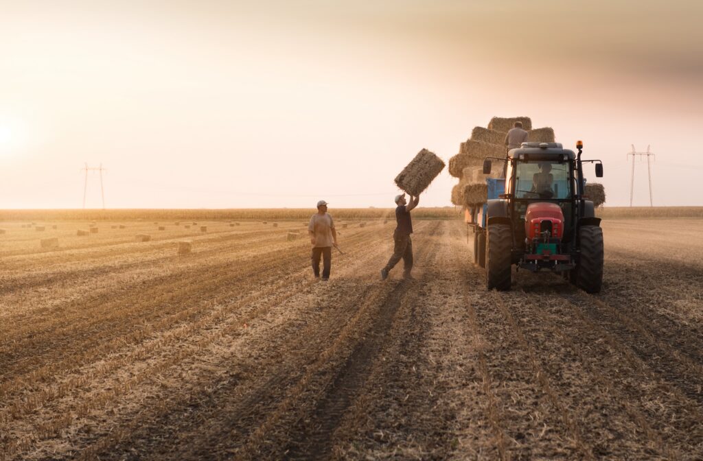 person tossing a bale of hay they grew and harvested on their farming operation onto a trailer