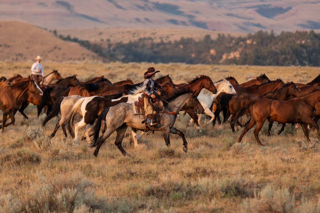 rancher riding her horse through her ranch land as other horses gallop alongside her