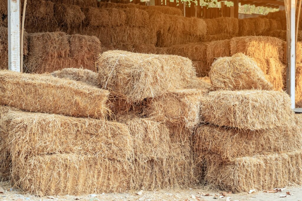 stacks of rectangular bales of hay