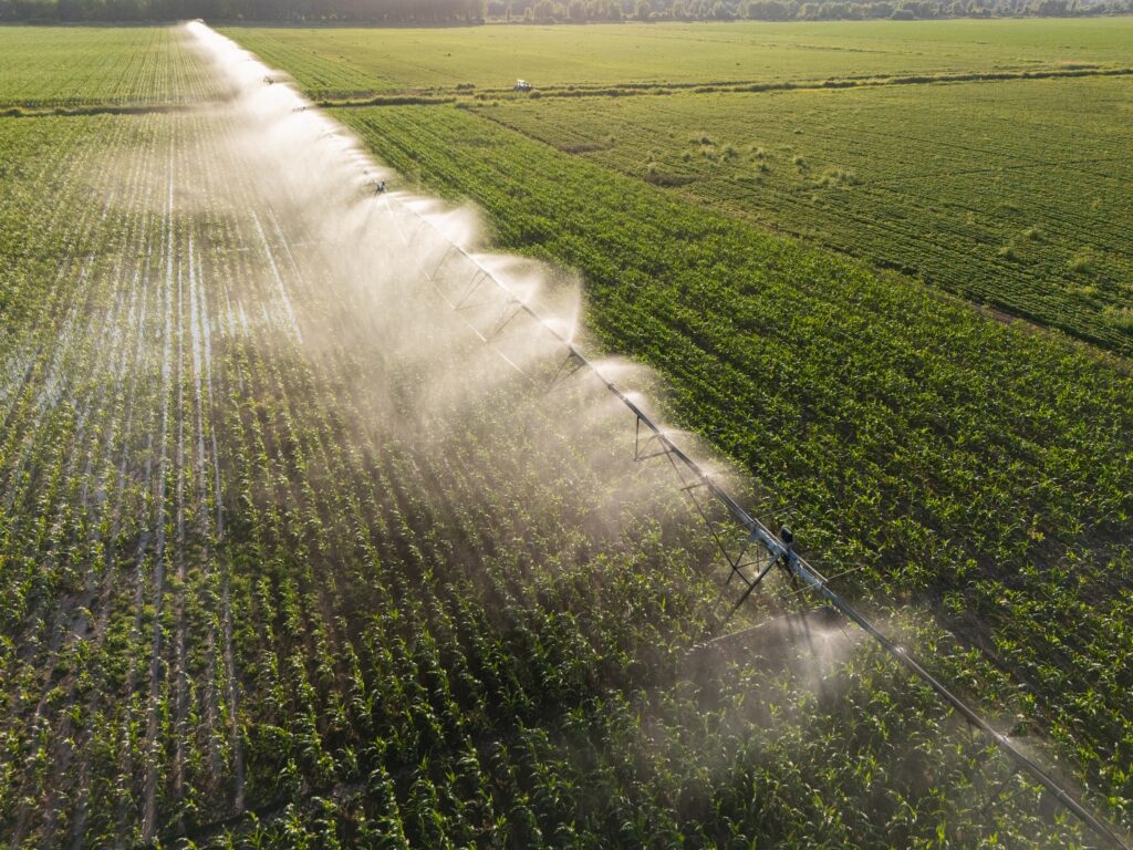 sprinkler based irrigation happening on a field of row crops on a wide expanse of agricultural land