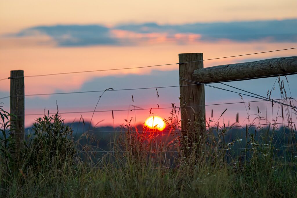sun setting behind a high tensile wire fence with wooden posts on a grassy portion of ranch land