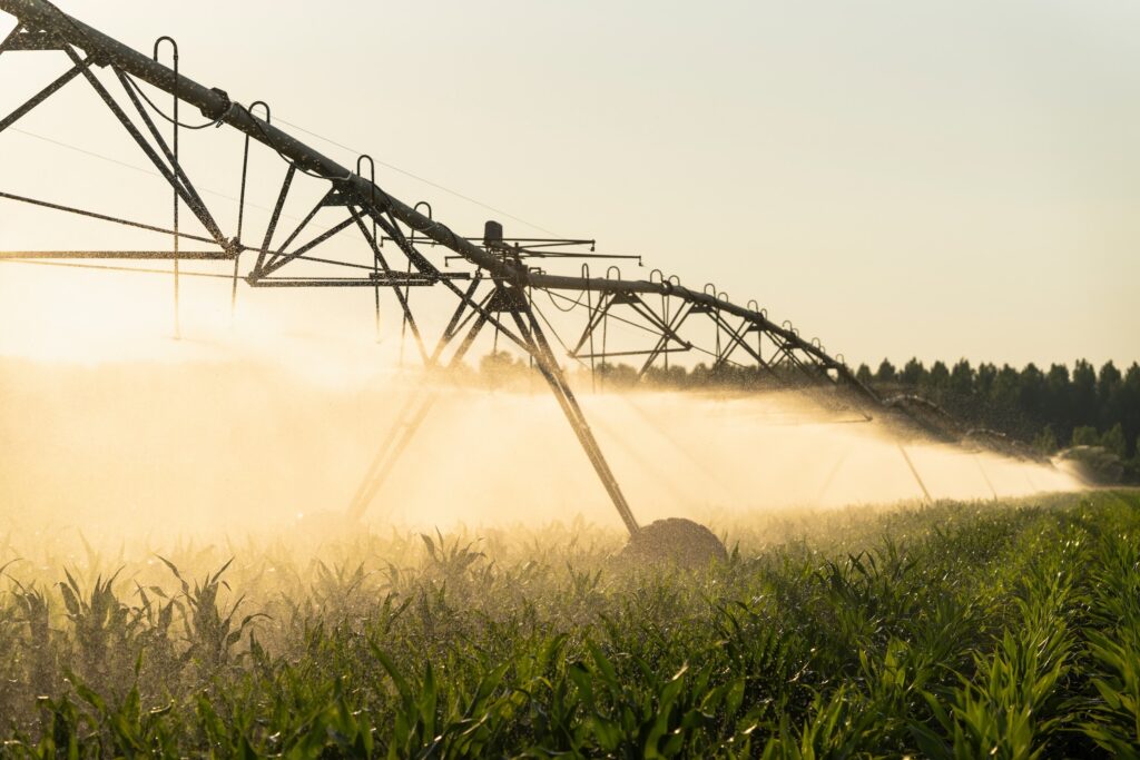 center pivot sprinkler agricultural irrigation system spraying crops during golden hour