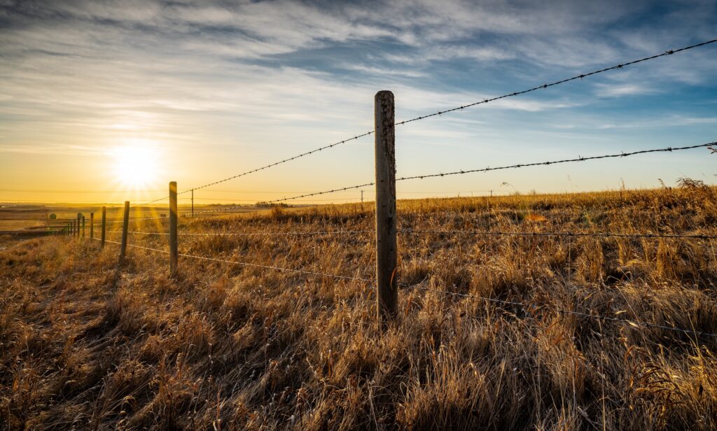 low cost installation barbed wire fencing on grasslands of a ranch