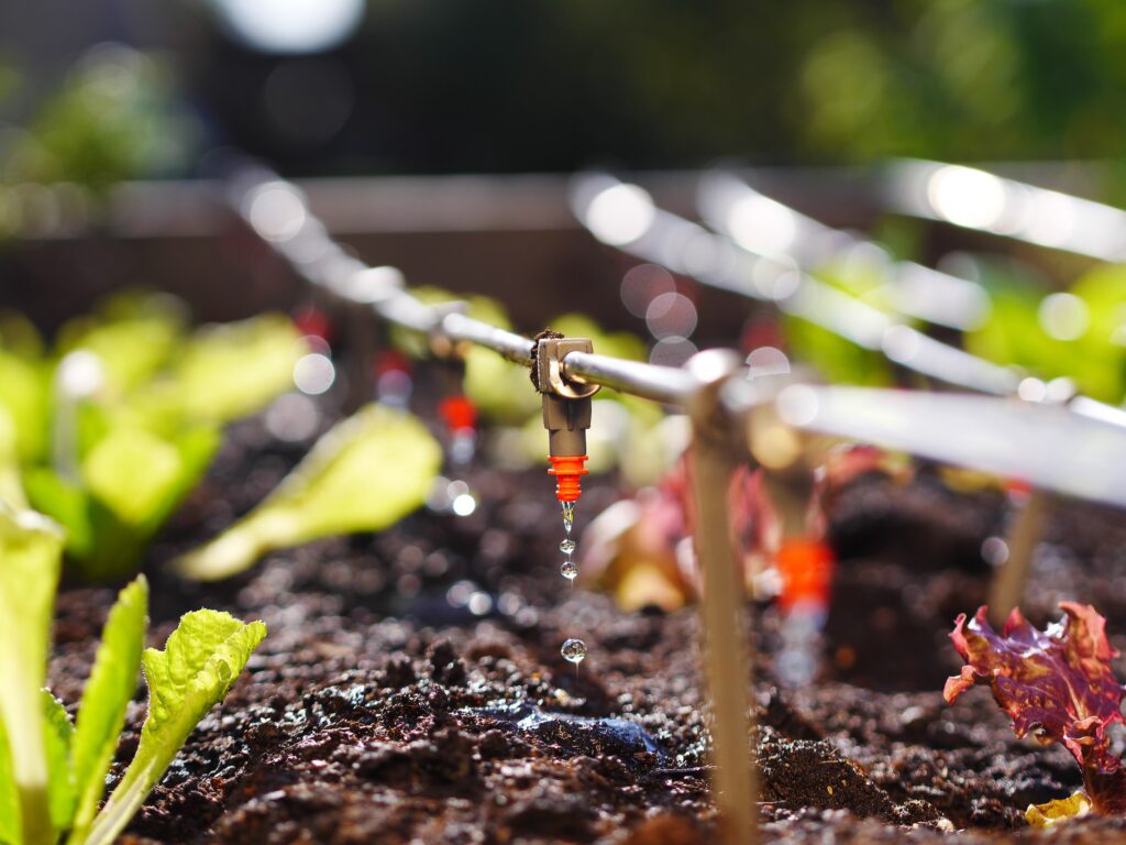 agri drip irrigation system in a garden bed