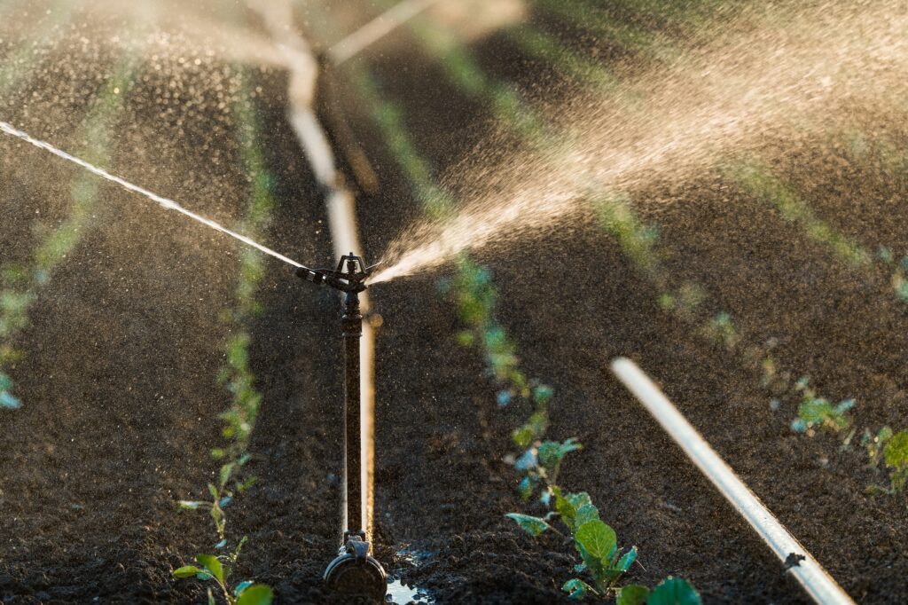 sprinkler agriculture irrigation system watering soybean row crops