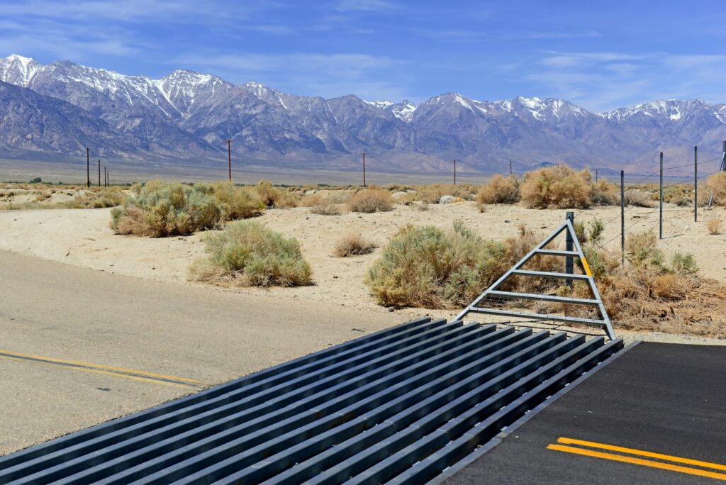 cattle grate guard running over a desert road with snow tipped mountains in the backdrop
